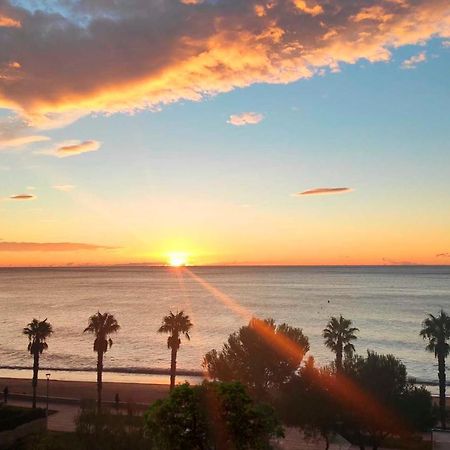 Sunrise Estudio Zebra, Con Vistas Jardin Y Mar Miami Playa ภายนอก รูปภาพ