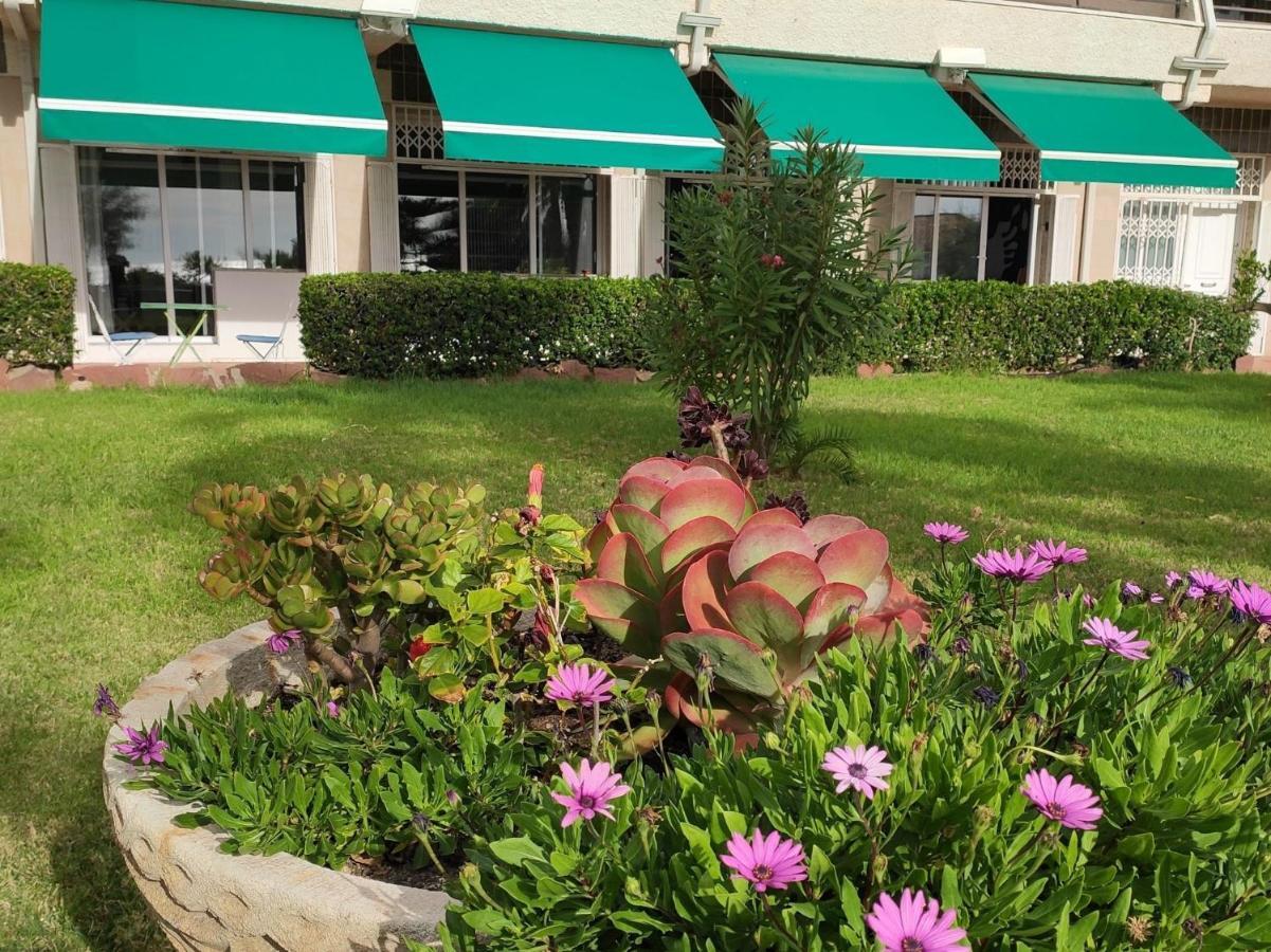 Sunrise Estudio Zebra, Con Vistas Jardin Y Mar Miami Playa ภายนอก รูปภาพ